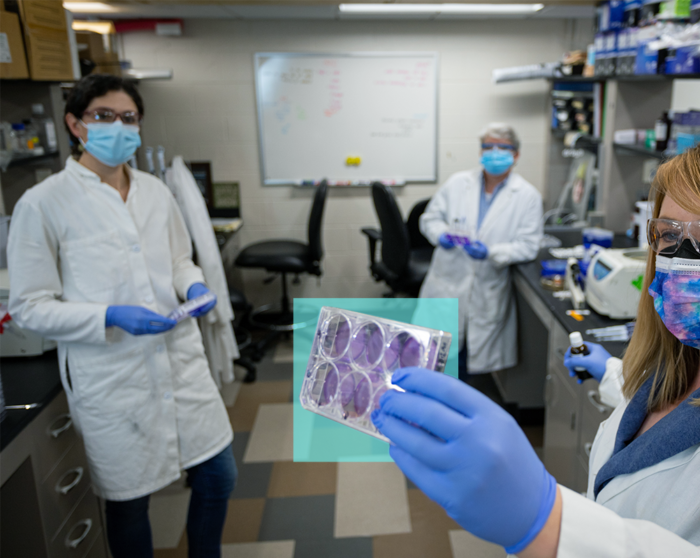 GC INK™ Brown Report Released – Neutralizes 100% of Coronavirus and Influenza in under one minute